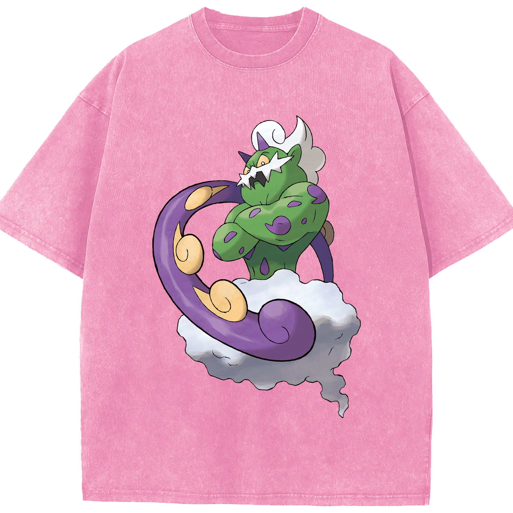 （画像用） ポケットモンスター Pokémon 綿100% ヴィンテージ風 半袖Tシャツ（フロントプリント）